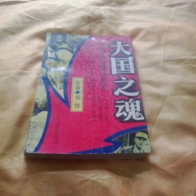 大国之魂——中国远征军滇缅征战纪实