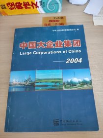 中国大企业集团2004