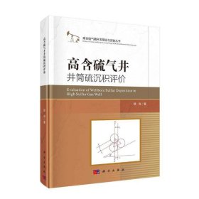 高含硫气井井筒硫沉积评价
