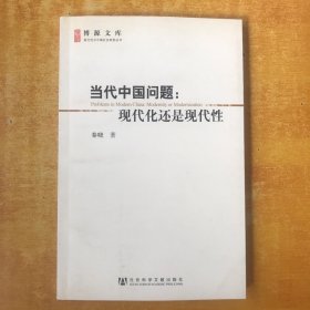 当代中国问题：现代化还是现代性