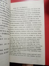 汉语语法  （上册）
新疆师范大学中语系
油印本
新疆少数民族新语言教材  珍贵的资料