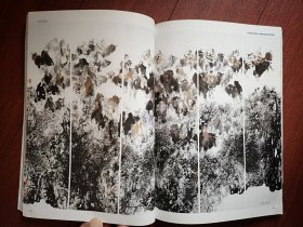 彩铜版美术插页（单张）（胡正伟和张江舟专题）胡正伟简介及其国画10幅《塞上秋风》《赛驼图》，姚发国文章《漠上朔风梦驼铃》。张江舟文章《回复绘画本体的当代水墨画》，张江舟水墨画八幅《女人河》《女人屋》刘诒果简历及其工笔画两幅《静思》《小夜曲》，