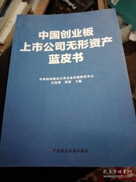 中国创业板上市公司无形资产蓝皮书（2011-2012）