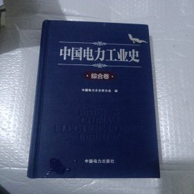 中国电力工业史 综合卷