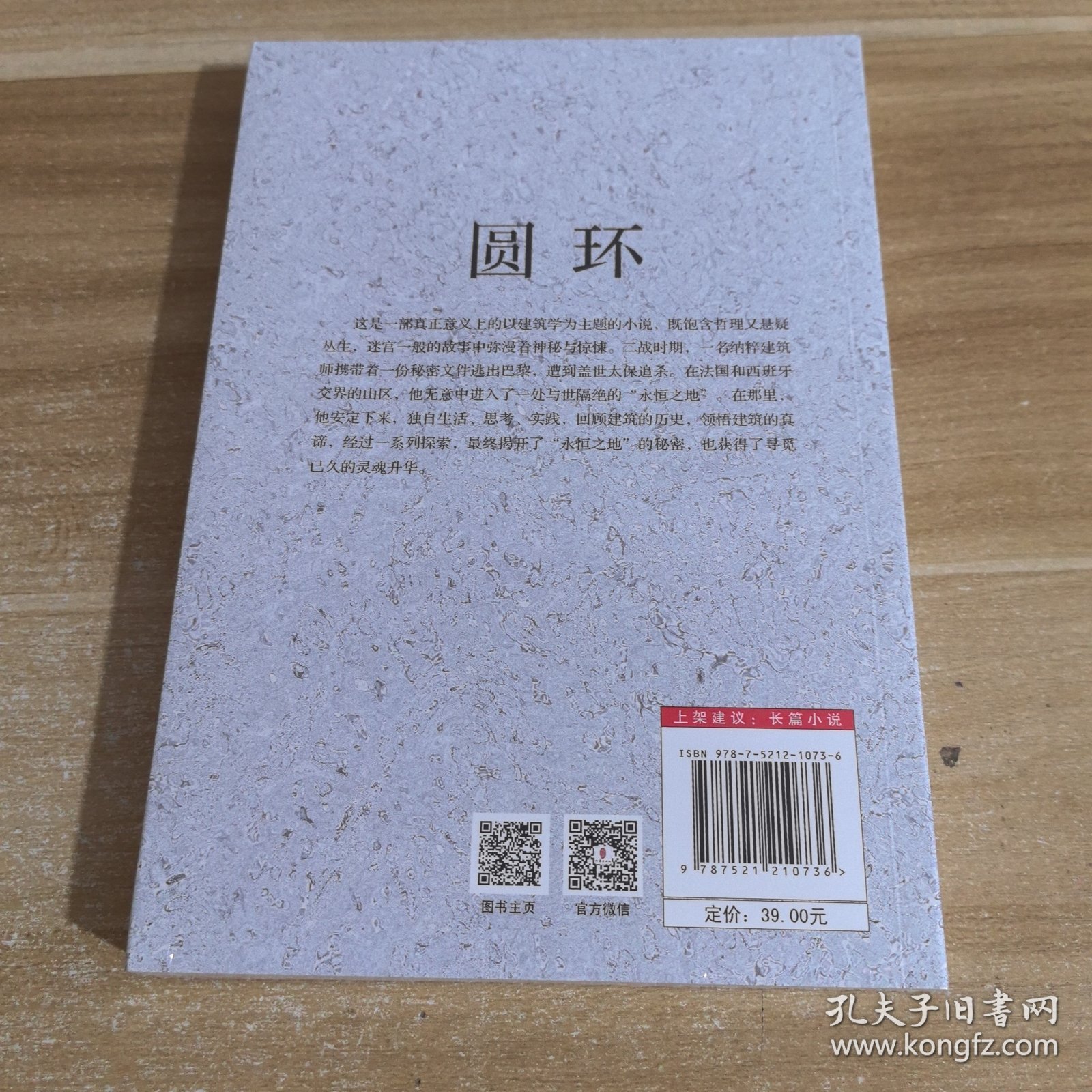 圆环（一部悬疑哲理小说，迷宫般的故事里弥漫着神秘惊悚的气息）