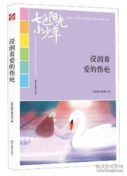 七色阳光小少年：浸润着爱的伤疤