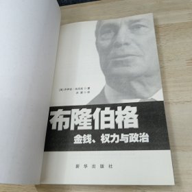 布隆伯格：金钱、权力与政治