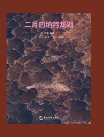 二月的纳特龙湖边缘