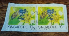 贴1985年新加坡邮票蜜蜂花卉剪片1张 外国邮票（零售区邮品满十件包邮）