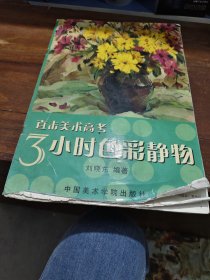 直击美术高考：3小时色彩静物