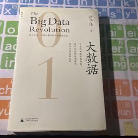 大数据：正在到来的数据革命，以及它如何改变政府、商业与我们的生活