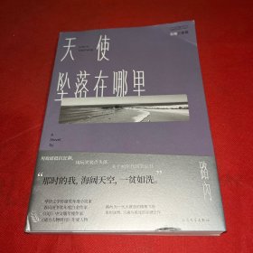 路内追随三部曲之：天使坠落在哪里