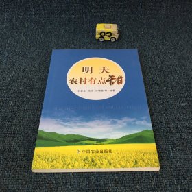 明天农村有点甜