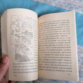 十万个为什么 植物1