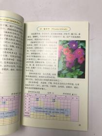 图说草本花卉栽培与养护