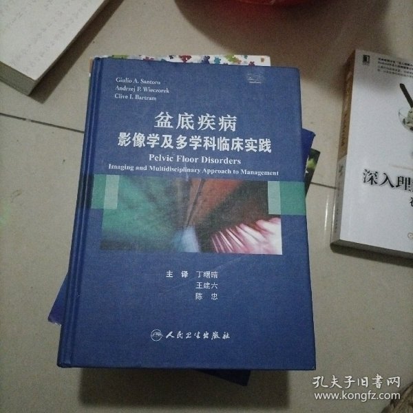 盆底疾病：影像学及多学科临床实践（翻译版）