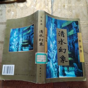 清水幻象 上册