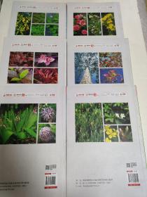 植物造景丛书——行道植物景观、阴地植物景观、地被植物景观、芳香植物景观、 绿篱植物景观、水体植物景观(六册合售)