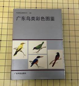 广东鸟类彩色图鉴