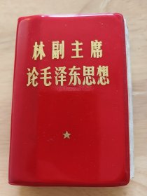 林副主席讲话