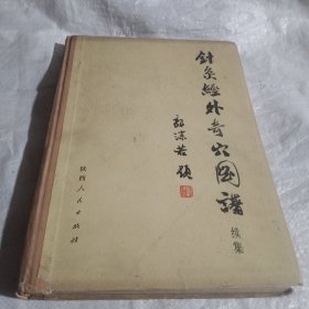 针灸经外奇穴图谱
