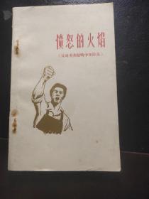 愤怒的火焰（反对美英侵略中东诗选）