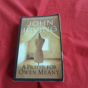 JOHN IRVING A PRAYER FOR OWEN MEANY