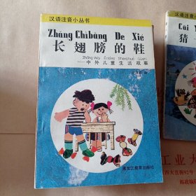 长翅膀的鞋。五元包邮。