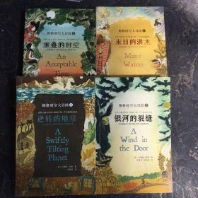 梅格时空大冒险【共4册合售】《重叠的时空》《末日的洪水》《逆转的地球》《银河的裂缝》