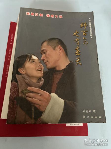 野百合也有春天（25集电视文学剧本）