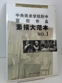 中央美术学院附中留校作品：素描大范本NO.1 超大尺寸