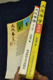大成拳学（第三部、第四部）