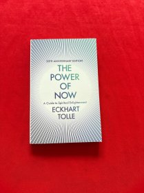 The Power of Now 當(dāng)下的力量
