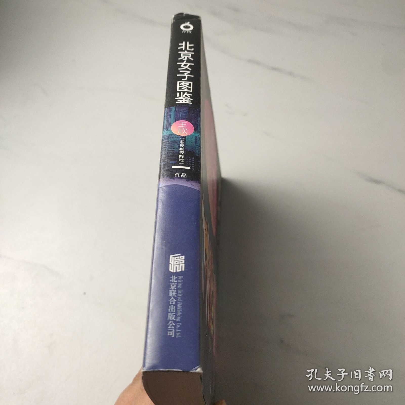 北京女子图鉴（@反裤衩阵地王欣重磅新作）