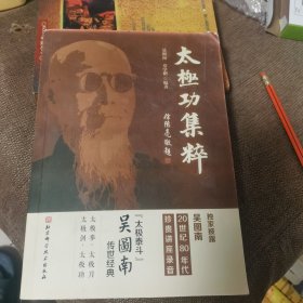 百家功夫丛书：太极功集粹