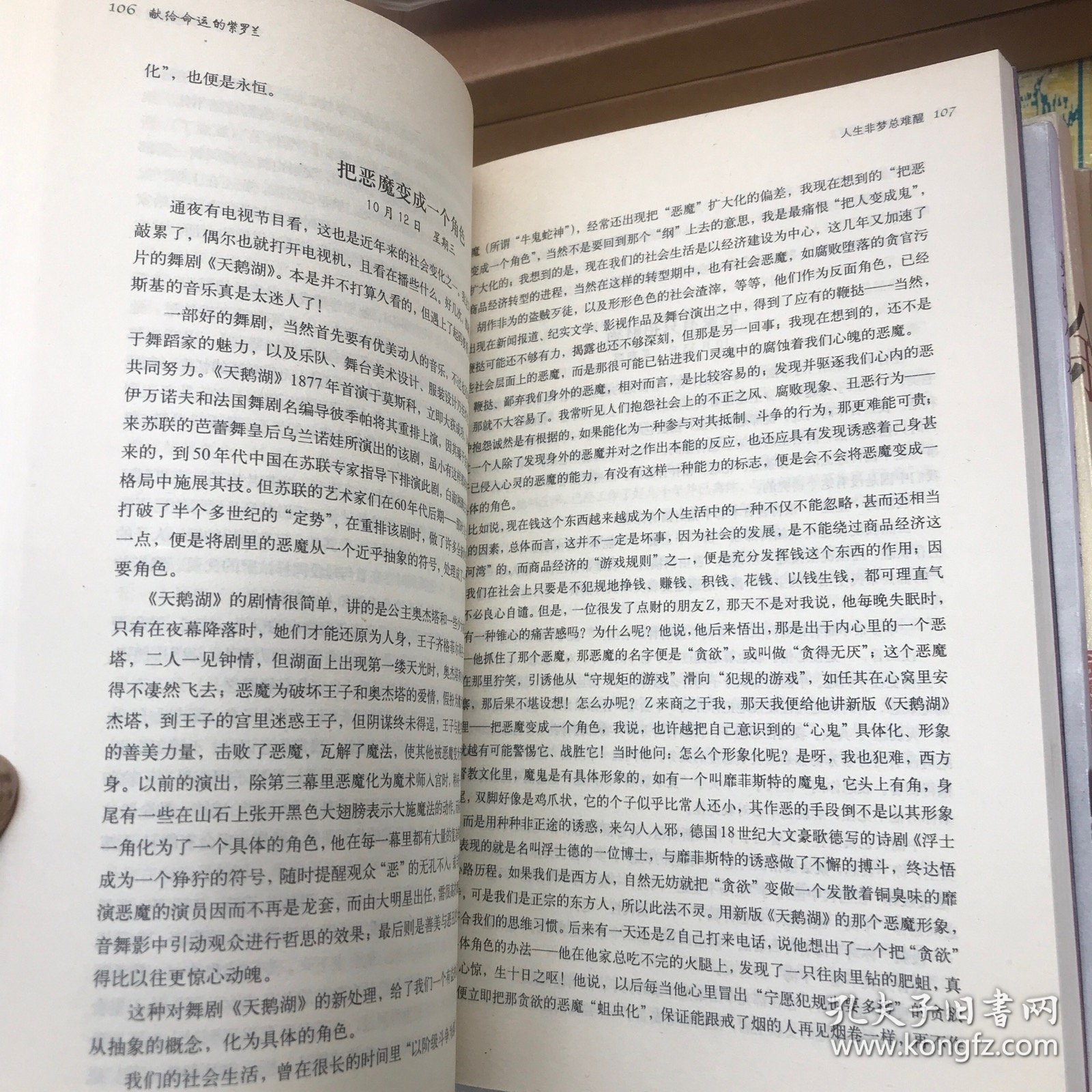 献给命运的紫罗兰
