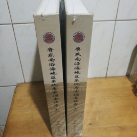 鲁东南沿海地区系统考古调查报告（全二册）
