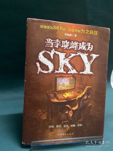 当李晓峰成为SKY