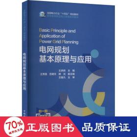 電網(wǎng)規(guī)劃基本與應(yīng)用 水利電力 王承民 編