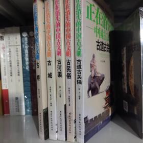 正在消失的中国古文明：古城、古河渠、古道古关隘、古桥、古民俗（5册合售）