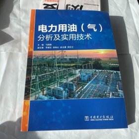 电力用油（气）分析及实用技术 1版1印