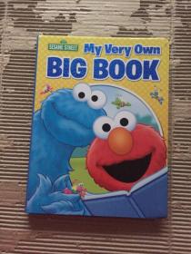 MY VERY OWN BIG BOOK