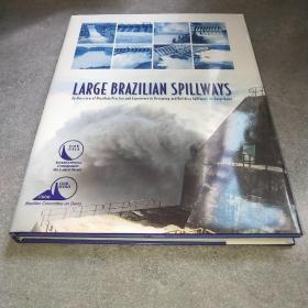 LARGE BRAZILIAN SPILLWAYS*