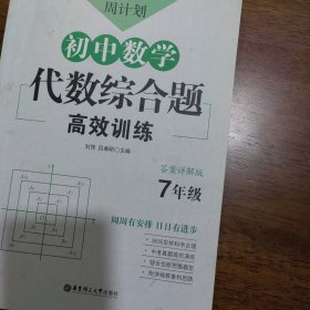 周计划：初中数学代数综合题高效训练（7年级）