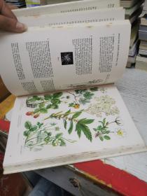 The Iiiustrated Book of Wild flowers