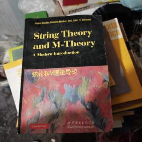 弦论和M理论导论