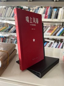 嘴上风暴：中国名刊年度佳作·年选系列丛书