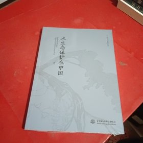 中国水利成就系列(共2册)