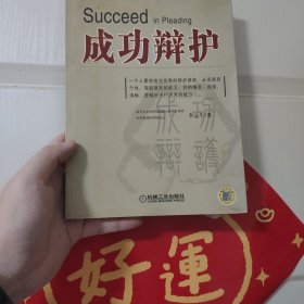 成功辩护