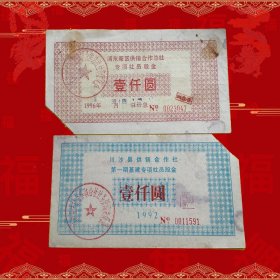 浦东新区 川沙供销合作社社员股金两枚套